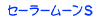�Z�[���[���[���r
